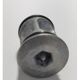 Vis de déverrouillage manuel pour moteur Aster